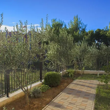 Srdarev Pencov * Vodice