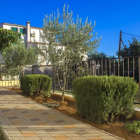 Srdarev Pencov * Vodice