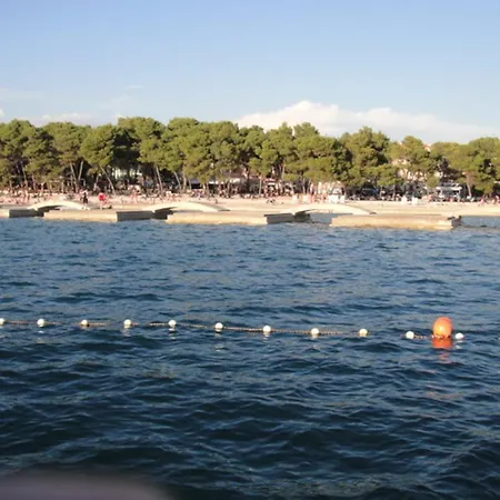 Srdarev Pencov * Vodice