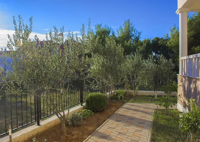 Srdarev Pencov * ヴォディツェ