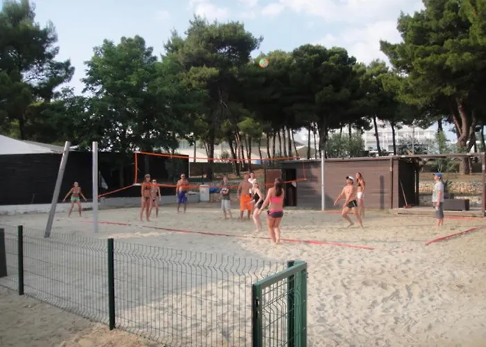 Srdarev Pencov * Vodice