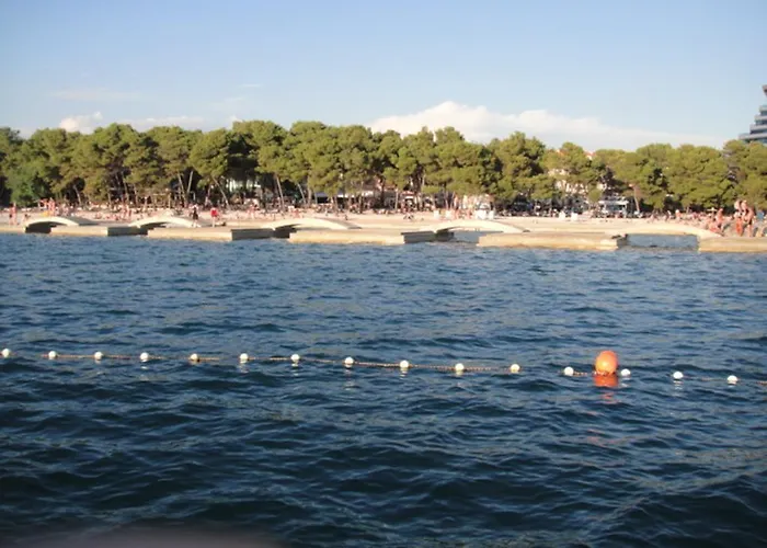 Srdarev Pencov * Vodice